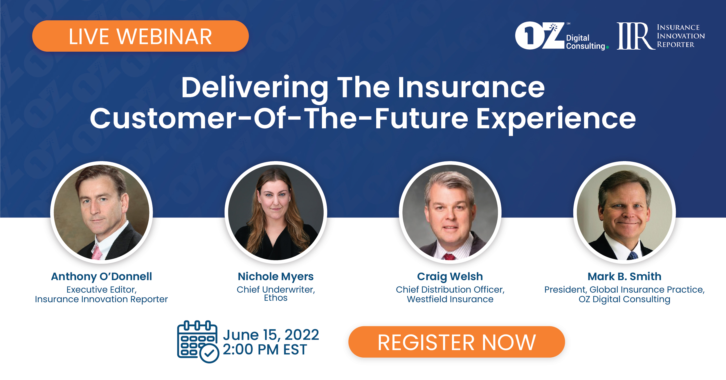 Oz Digital Consulting Webinar Banner - Delivering Customer Experience - Mail